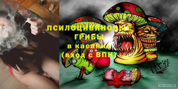 крисы Кукмор