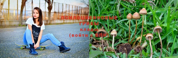 крисы Кукмор