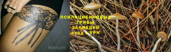 твердый Куйбышев