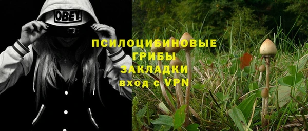 крисы Кукмор