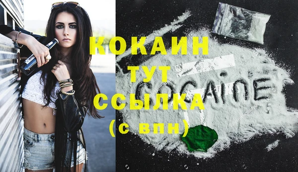 крисы Кукмор