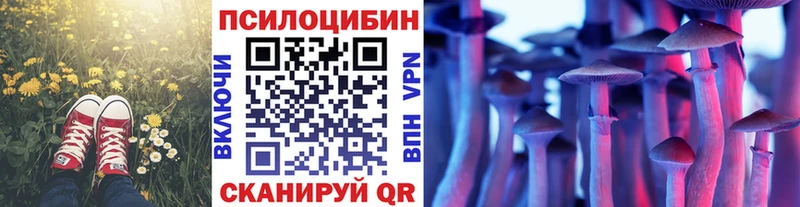 Псилоцибиновые грибы мицелий  мориарти какой сайт  Усть-Джегута 