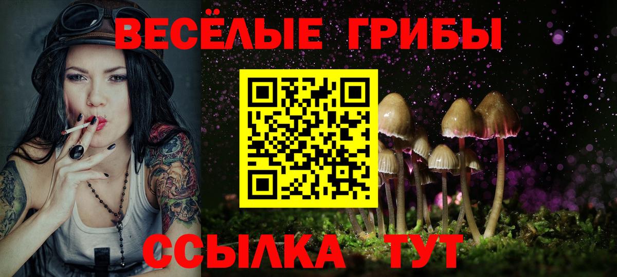 Галлюциногенные грибы Magic Shrooms Усть-Джегута
