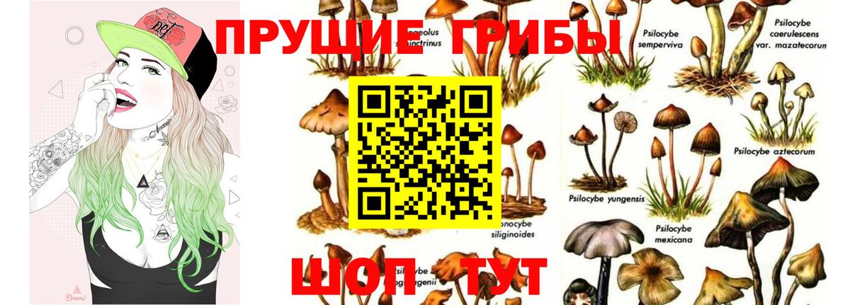 Галлюциногенные грибы мухоморы  Вход с VPN  Галлюциногенные грибы MAGIC MUSHROOMS  Усть-Джегута 